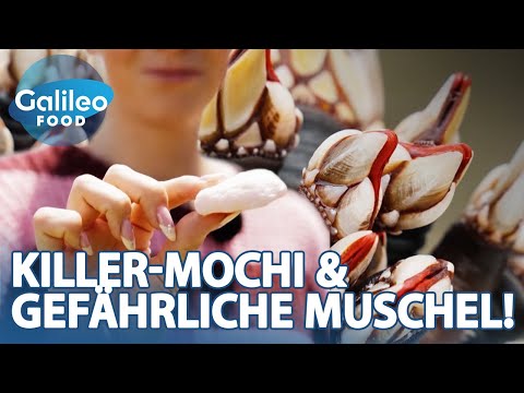 Tödliche Delikatessen? RISKANTE Mochis & Muscheln! | Galileo Food