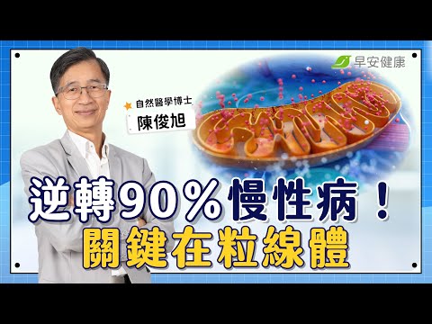 吃不甜的麵包卻像在喝糖水！逆轉90％慢性病，關鍵在粒線體｜陳俊旭 自然醫學博士【早安健康 × 健康大頭條】