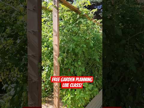 FREE Garden Planning LIVE Class - head to the link in my profile to register before it's too late!