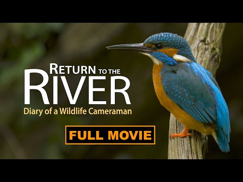 Discover the Amazing Nature of a River - Full Documentary