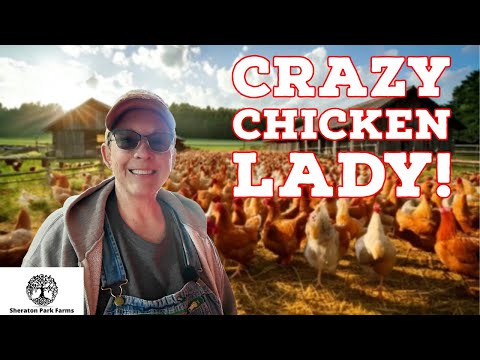 Is 413 Chickens TOO Many?