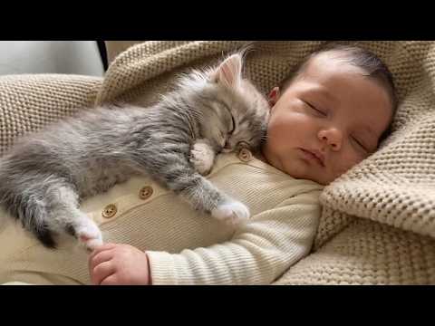 Baby Sleeping Beside a Little Kitten 😻😴 | Cozy Moments Compilation