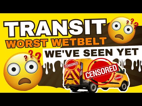 Ford Transit in BIG TROUBLE! Worst Wet Belt We’ve EVER Seen! Saved from TOTAL Engine Failure!