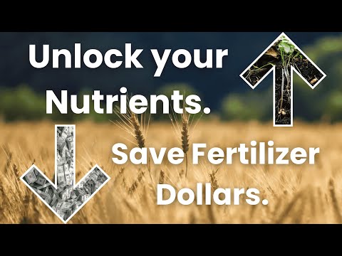 Understanding the Factors That Keep Nutrients from Reaching Your Crop