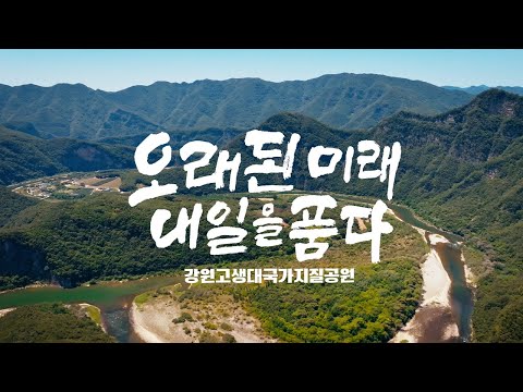 UHD특집 다큐멘터리 '오래된 미래 내일을 품다' / MBC강원영동 251218