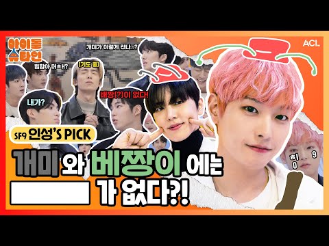 [ENG/JPN] 개미와 베짱이 원작에는 [___]가 없다?! 🧐 🐜 | SF9 2-2편 | [아이돌슈타인🔬]