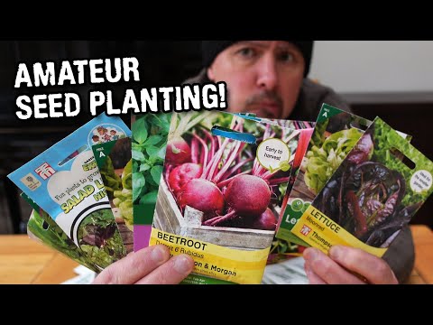 Are you confused by seeds? ME TOO!! Amateur gardening problems!