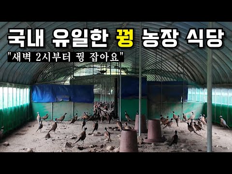 장끼만 2천마리 키우면서 운영하는 국내 유일한 꿩 식당 | 충주 수안보 대장군