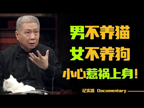 老话说“男不养猫，女不养狗”？如果养错了，要小心惹祸上身！#圆桌派 #许子东 #马家辉 #梁文道 #锵锵行天下 #观复嘟嘟 #马未都