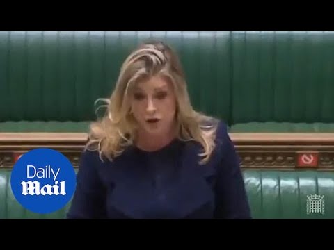 Penny Mordaunt brutally responds to Angela Rayner in Commons over donations claims