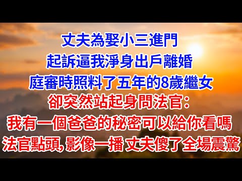 丈夫為娶小三進門 起訴逼我淨身出戶離婚 庭審時照料了五年的8歲繼女 卻突然站起身問法官： 我有一個爸爸的秘密可以給你看嗎 法官點頭，影像一播 丈夫傻了 全場震驚