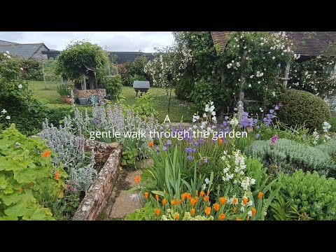 Walk Through an English Garden in June. A Restored Gertrude Jekyll Designed Garden