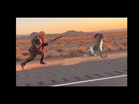 “Sora 2 Ultimate Compilation (November 2025)”