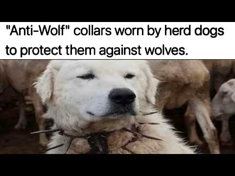 How Things Work Memes