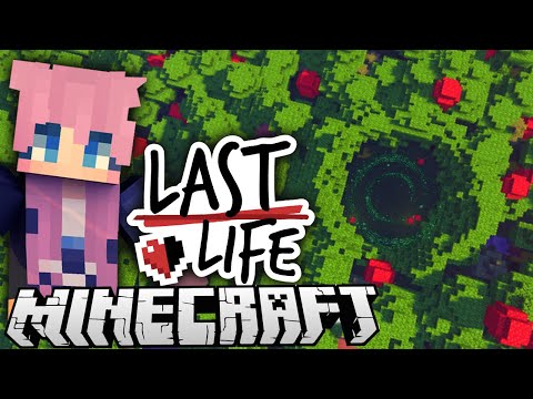 Fairy Circle Fort | Ep. 1 | Last Life