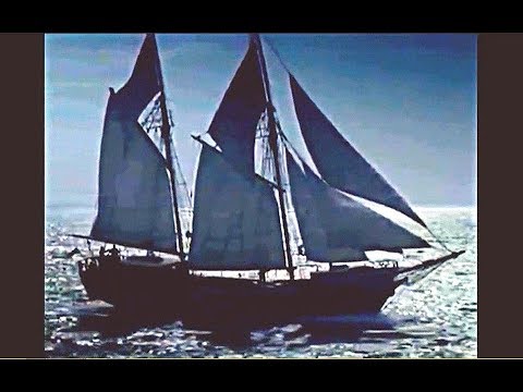 Der Seewolf 2   Kurs auf Uma 1971 mit Raimund Harmstorf