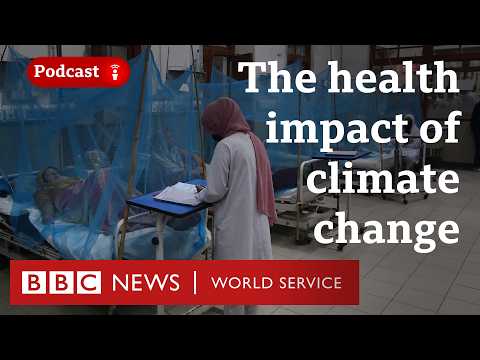 How are doctors dealing with climate change? - The Climate Question podcast, BBC World Service