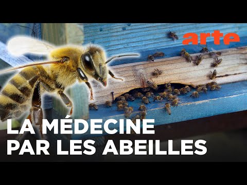 Roumanie, les miracles des abeilles | Médecines d'ailleurs | ARTE Évasion