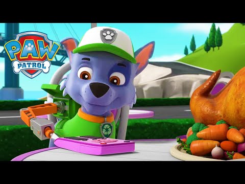 一只听起来像狗的猫！ - PAW Patrol 汪汪隊立大功 - 兒童卡通