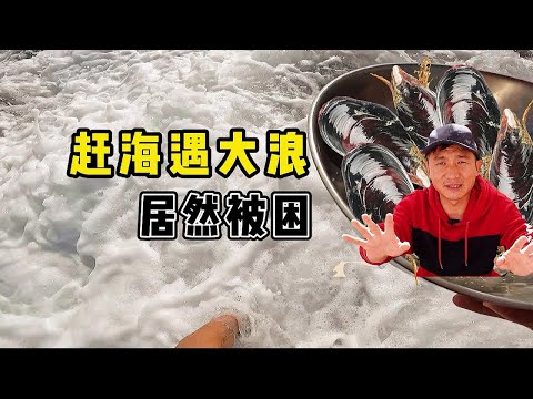 《环球探海记》阿曼 第38天:今天赶海居然遇到大浪,被困回不去 ! #真实赶海记录#阿曼旅行#马西拉岛
