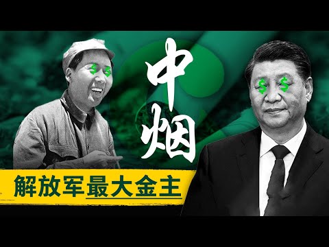 【红色财阀秘史】中国烟草：全球最赚钱的“国家黑帮” | 为何你的一口烟，能养活整个财政？