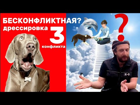 Обратная сторона гуманной, позитивной дрессировки | The truth about positive dog training