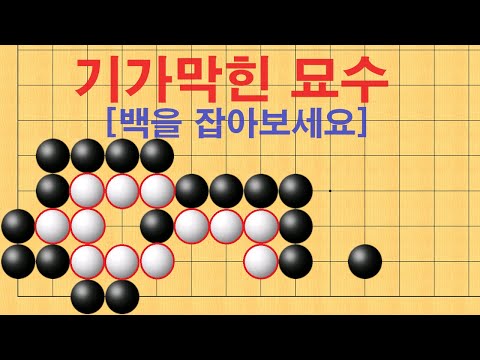 바둑 묘수 사활 - 기가막힌 묘수로 백을 잡아보세요