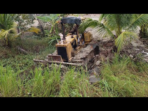 Amazing Bulldozer Work | Heavy Machinery Clearing Farmland
