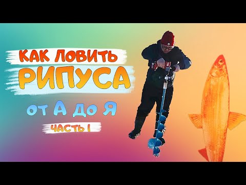 РИПУС. Как правильно ЛОВИТЬ РИПУСА зимой. Озеро Увильды. Рыбалка от А до Я. Рипус Увильды  (Часть 1)