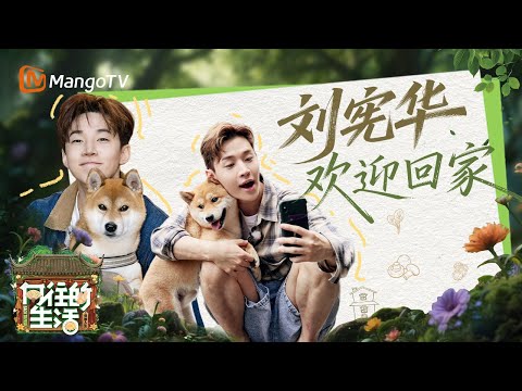 【SPECIAL】重温刘宪华在蘑菇屋的温暖日常 每一个怀抱都是熟悉的味道 ​​​一家人就是要齐齐整整！ |《向往的生活》Back To Field  | MangoTV