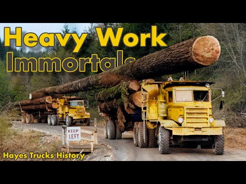 The Day Hayes Transported a GIANT 76-Meter Log to England - The Story of Hayes Trucks