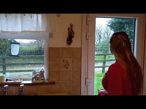 Aconchego em Dia de Tempestade | Slow Living Cottagecore na Irlanda