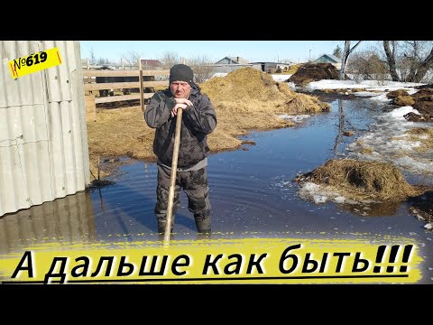 Мы в затруднении, а что делать дальше. Мы очень устали от них. Омск Москаленки жизнь в деревне.