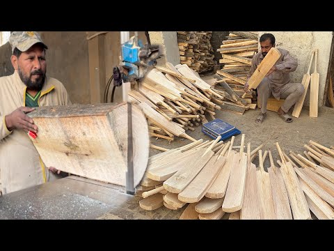 From Raw Willow to World-Class Cricket Bat | Amazing Handcrafted Process