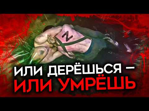 К СВОИМ ХУЖЕ, ЧЕМ К ВРАГАМ. Новая волна дезертирств и унижений в российской армии
