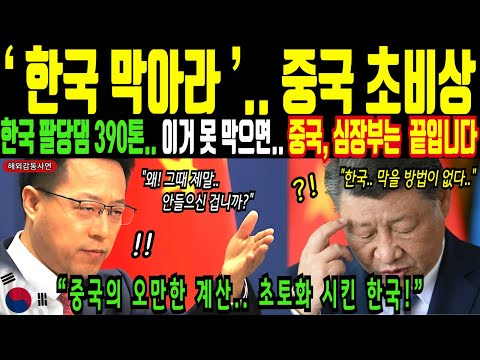 한국 팔당댐 390톤.. 중국 이거 못 막으면 끝입니다!ㅣ해외감동사연