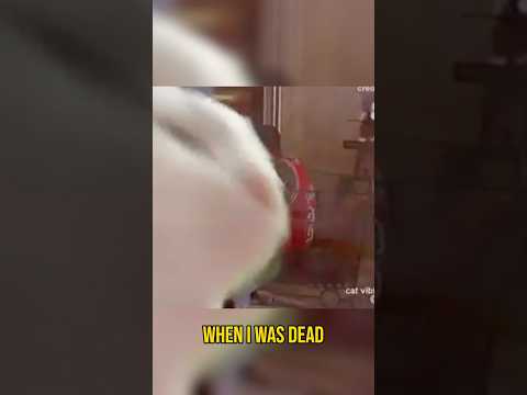 Bronco Off-Road: Surprising Leg Room & Back Seat Comfort! #shorts