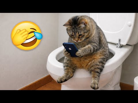 Funniest Cats & Dogs Videos 2025 πΌπΆ | Ultimate Funny Animals Compilation π