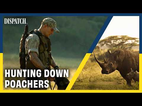 Hunting the Hunters: The Bloody War to Save South Africa’s Rhinos | DISPATCH | HD Documentary