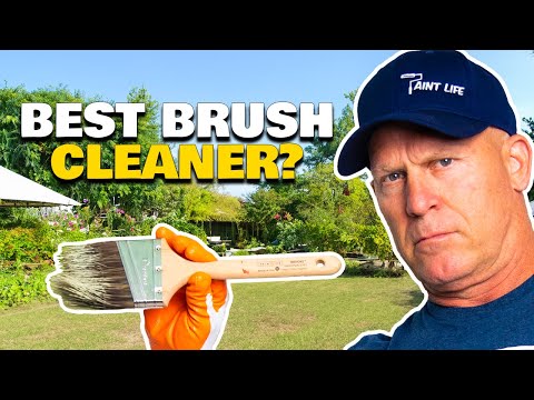 Best Paint Brush Cleaner.  Remove Dried Paint
