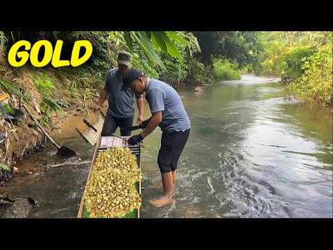 The best natural GOLD hunting in a stream #goldmines #gold #goldmining #goldrush #treasure #mining