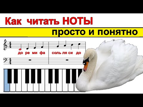 ❗❗❗Как ЧИТАТЬ НОТЫ С ЛИСТА на ПИАНИНО