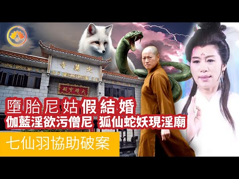 七仙羽的口供｜墮胎尼姑假結婚｜伽藍淫欲污僧尼｜狐仙蛇妖現寺廟｜2015年佛門奇案