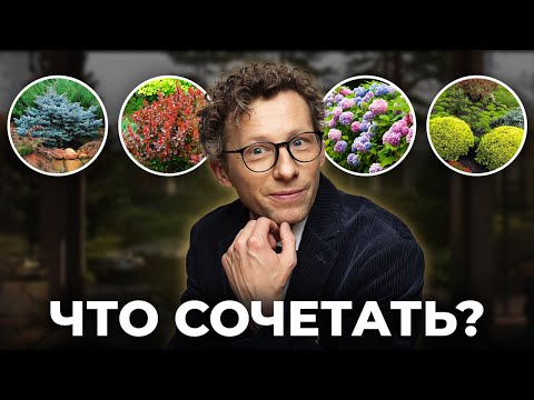 5 Best All-Season Plant Combinations to Plant in Your Garden