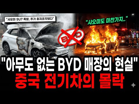 "한국 오면 절대 사지 마세요" 이제 중국인들도 욕하는 BYD, 붕괴 직전 중국 전기차의 몰락