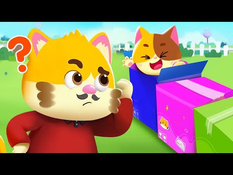 Colored Surprise Boxes Song | Learn Colors | Kids Song | Cartoon for Kids | Mimi and Daddy