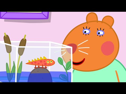 Peppa Pig Has To Visit The Doctor 🐷 🥼 Playtime With Peppa