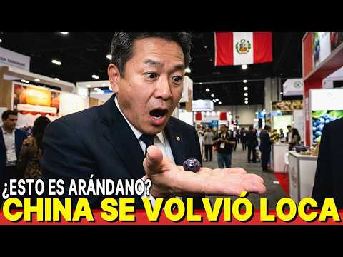 Se vende primero aunque cueste 20% más que el chileno: Por qué el mundo adora el arándano peruano