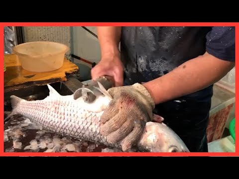 烏魚切割技能-烏魚三吃-傳統美食   #Mullet cutting skills