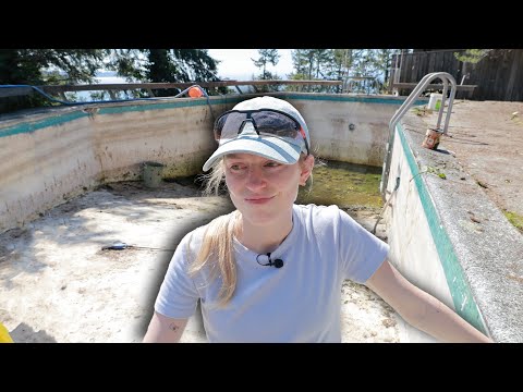 we tried cleaning our abandoned pool (ep.12)